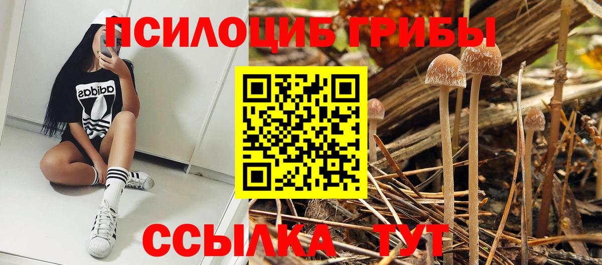Псилоцибиновые грибы мухоморы  Вход с VPN  Псков 