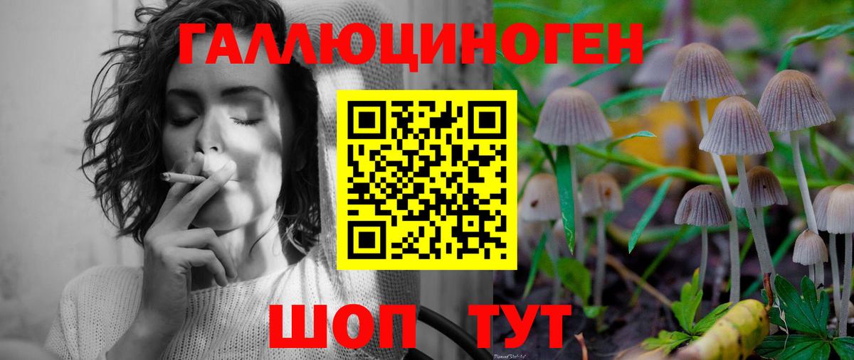Псилоцибиновые грибы Magic Shrooms Псков